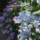 子供が自閉症とわかるまで（0歳～2歳編）